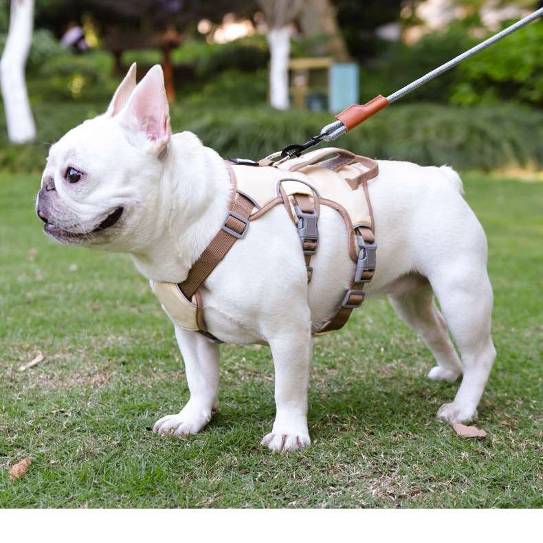 Reflective Shock-Absorbing Dog Harness for Small to Medium Breeds