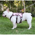 Reflective Shock-Absorbing Dog Harness for Small to Medium Breeds