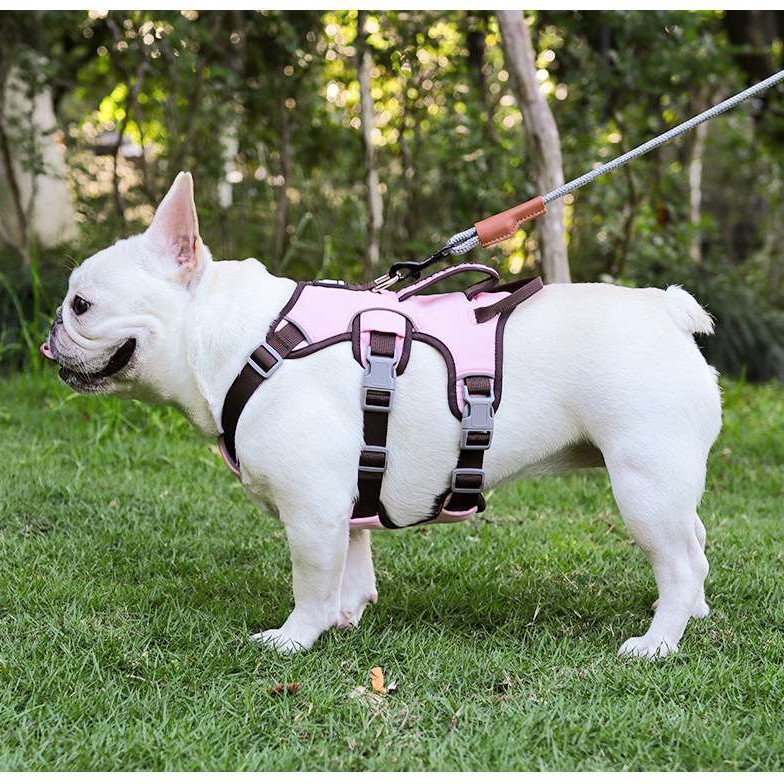 Reflective Shock-Absorbing Dog Harness for Small to Medium Breeds