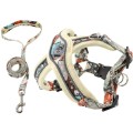 Reflective Breathable Dog Harness & Leash Set – Vest-Style, for Small Dogs