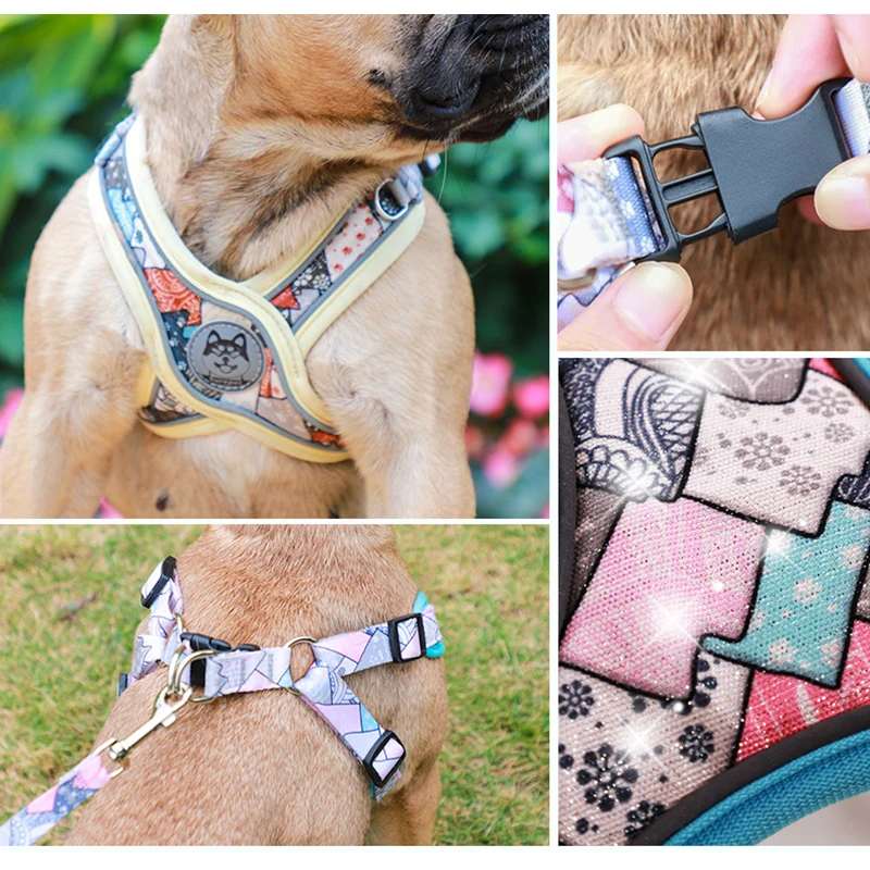 Reflective Breathable Dog Harness & Leash Set – Vest-Style, for Small Dogs