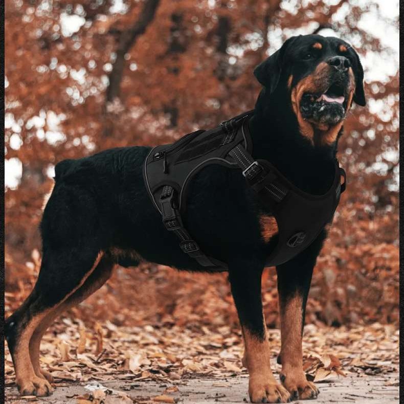 Tactical No Pull Harness for Medium-Large Dogs
