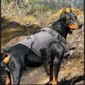 Tactical No Pull Harness for Medium-Large Dogs