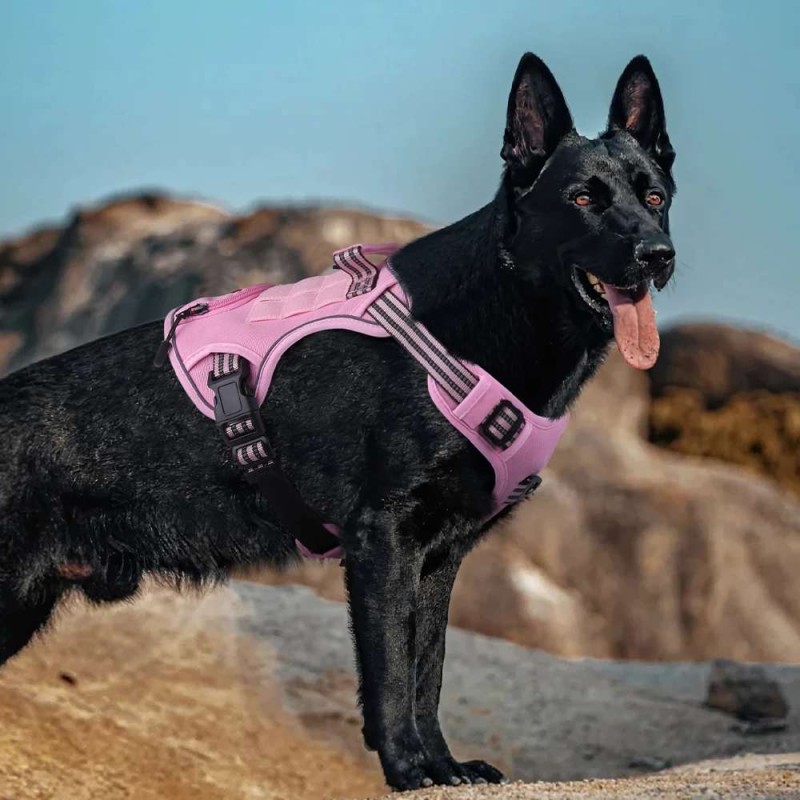 Tactical No Pull Harness for Medium-Large Dogs