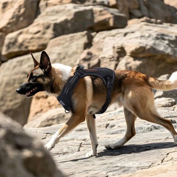 Tactical No Pull Harness for Medium-Large Dogs