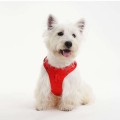 Lightweight Breathable Dog Harness – Cool Mesh, Reflective & No-Pull