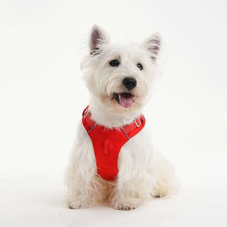 Lightweight Breathable Dog Harness – Cool Mesh, Reflective & No-Pull