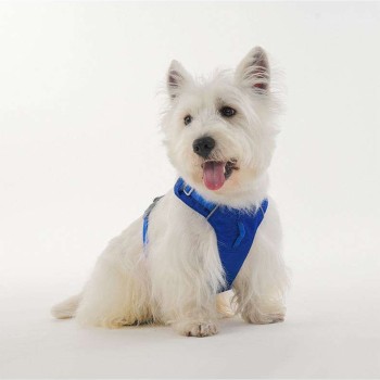 Lightweight Breathable Dog Harness – Cool Mesh, Reflective & No-Pull