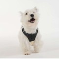 Lightweight Breathable Dog Harness – Cool Mesh, Reflective & No-Pull