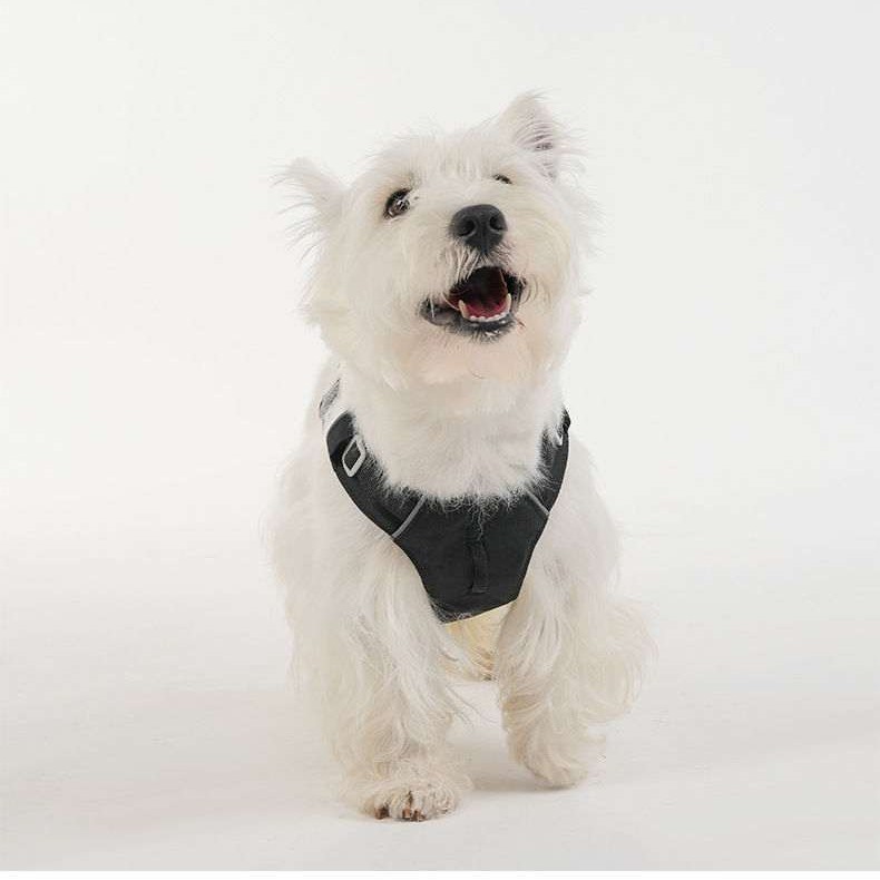 Lightweight Breathable Dog Harness – Cool Mesh, Reflective & No-Pull
