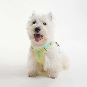 Lightweight Breathable Dog Harness – Cool Mesh, Reflective & No-Pull
