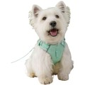 Lightweight Breathable Dog Harness – Cool Mesh, Reflective & No-Pull