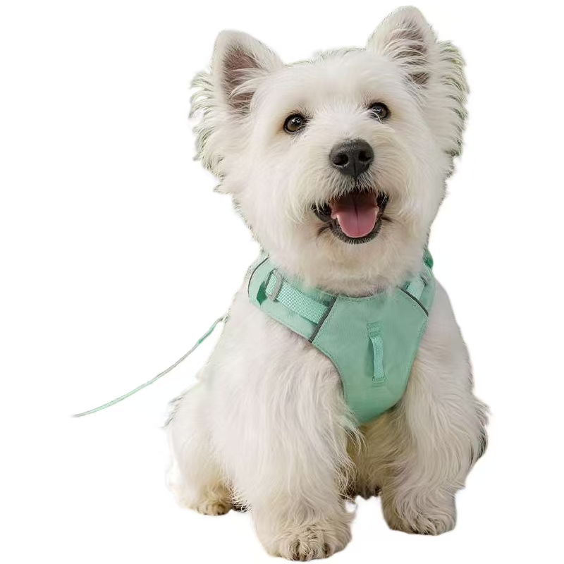 Lightweight Breathable Dog Harness – Cool Mesh, Reflective & No-Pull