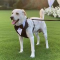 Pet Tuxedo Vest Harness  for All Dogs Wedding Party