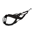 No-Pull Sled Dog Harness – Weight Training & Cart Pulling