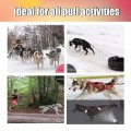 No-Pull Sled Dog Harness – Weight Training & Cart Pulling