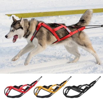 No-Pull Sled Dog Harness – Weight Training & Cart Pulling