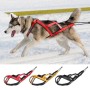 No-Pull Sled Dog Harness – Weight Training & Cart Pulling