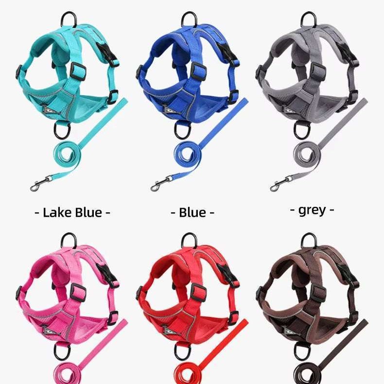 Breathable Mesh Dog Harness – Reflective, Adjustable & Comfort Set for Small Dogs