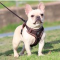 Breathable Mesh Dog Harness – Reflective, Adjustable & Comfort Set for Small Dogs
