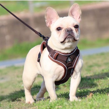 Breathable Mesh Dog Harness – Reflective, Adjustable & Comfort Set for Small Dogs