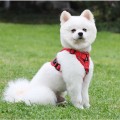 Breathable Mesh Dog Harness – Reflective, Adjustable & Comfort Set for Small Dogs