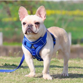 Breathable Mesh Dog Harness – Reflective, Adjustable & Comfort Set for Small Dogs