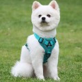 Breathable Mesh Dog Harness – Reflective, Adjustable & Comfort Set for Small Dogs