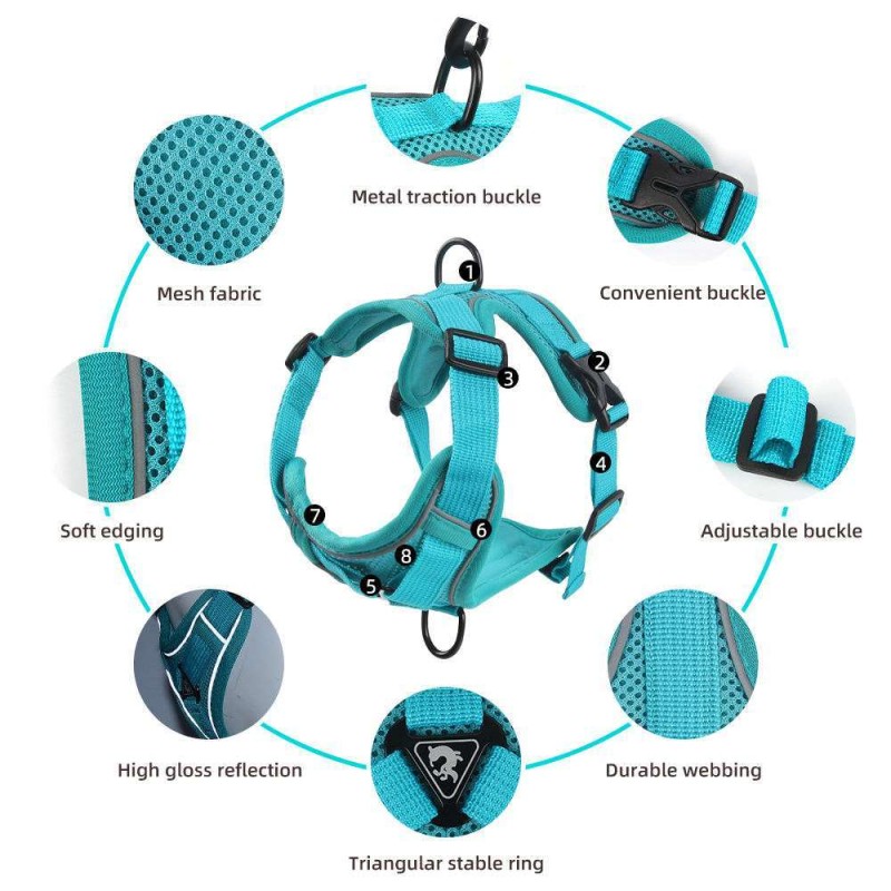 Breathable Mesh Dog Harness – Reflective, Adjustable & Comfort Set for Small Dogs