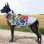 Waterproof Winter Jacket for Big Dogs – with Leash Ring