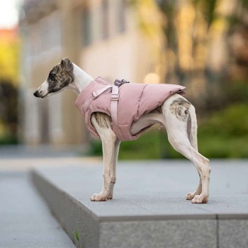 Padded Dog Coat with Harness – Warm Solid for Small/Medium