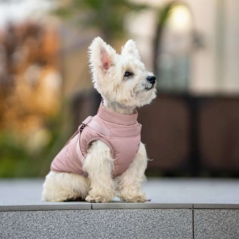Padded Dog Coat with Harness – Warm Solid for Small/Medium