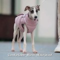 Padded Dog Coat with Harness – Warm Solid for Small/Medium