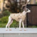 Padded Dog Coat with Harness – Warm Solid for Small/Medium