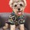 Small Dog Fleece Sweater – Warm, Stylish & Easy to Wear