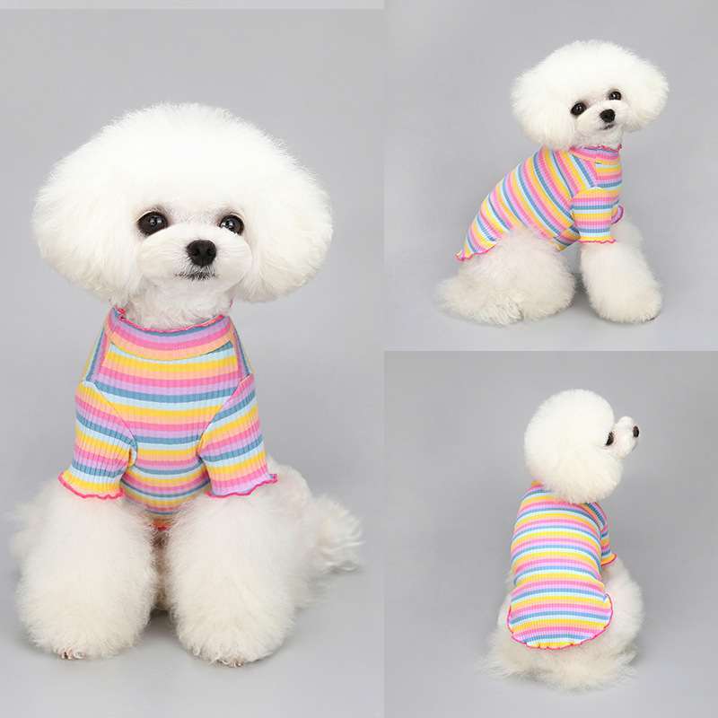 Cotton Stretch Rainbow Stripe Dog Undershirt – Pullover for All Seasons