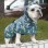 Belly-Cover Dog Raincoat – Hooded Poncho for Small to Large Dogs