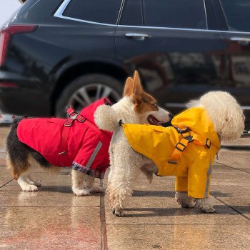 Waterproof Pet Raincoat - Reflective & Windproof Dog Coat